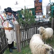 Vianočné trhy 2013